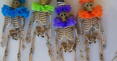 Skeleton Garland Halloween Decoration