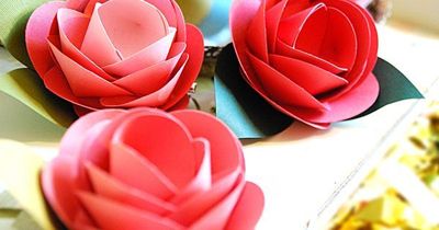 paper flowers #theconfetticommittee #paperflowers